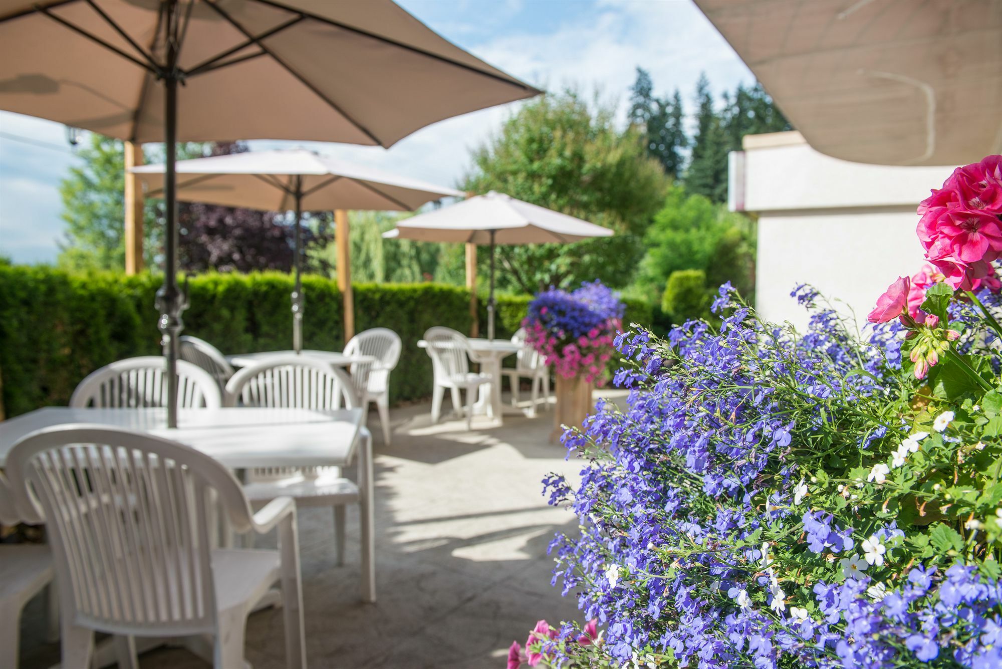 Hilltop Inn - Salmon Arm Bagian luar foto