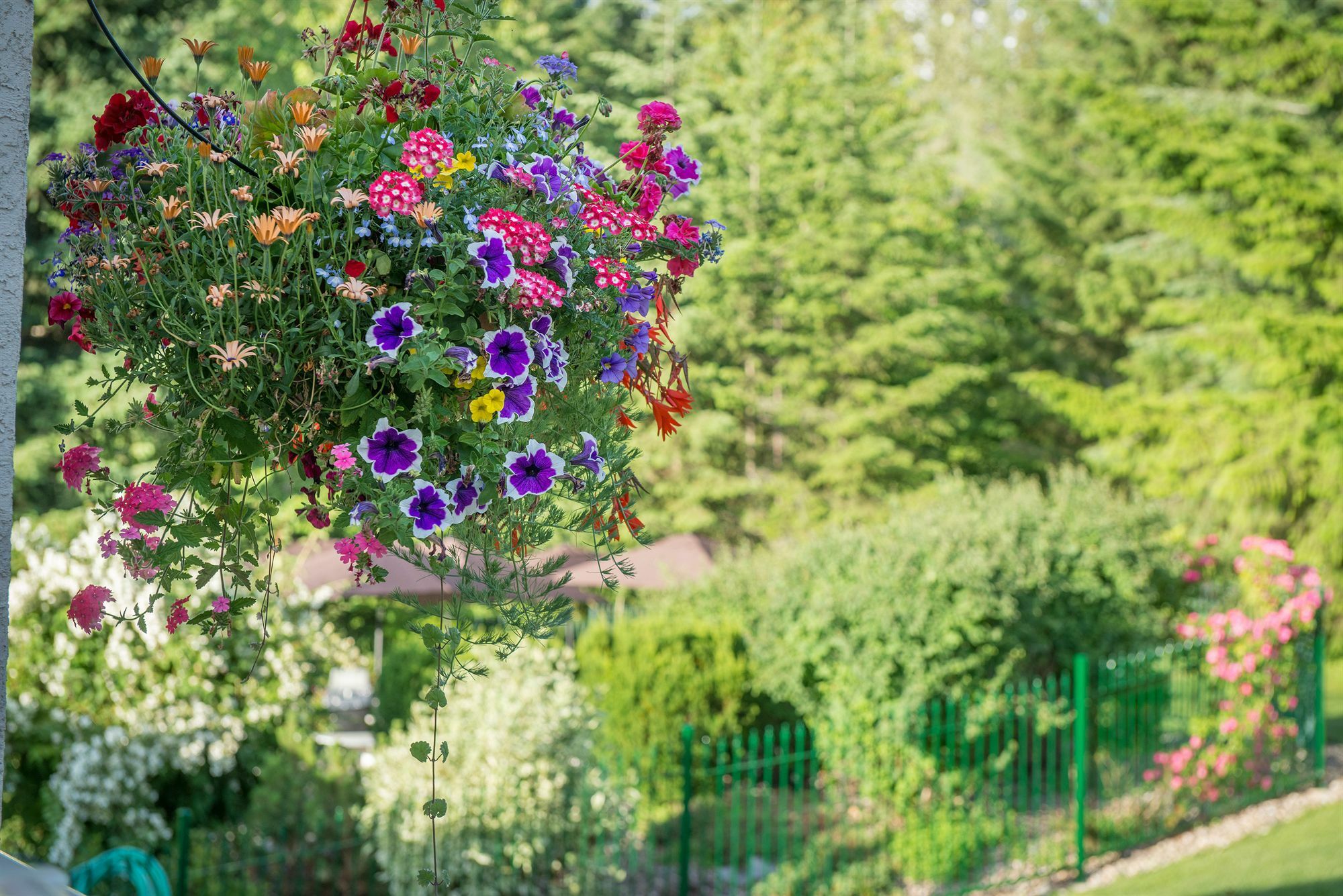 Hilltop Inn - Salmon Arm Bagian luar foto