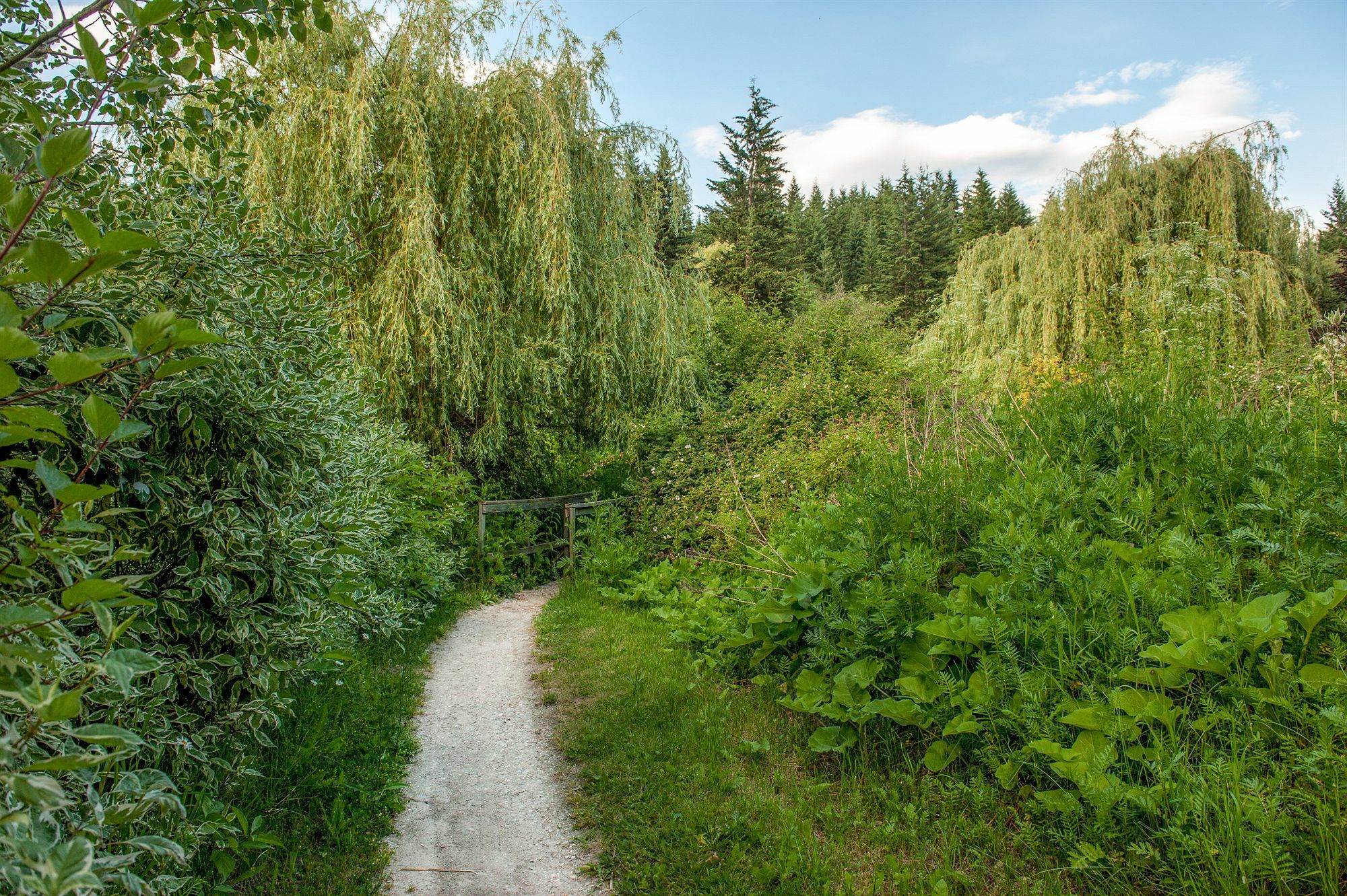Hilltop Inn - Salmon Arm Bagian luar foto